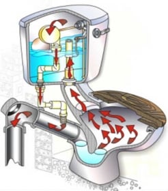 toilet-friend-1310302081 toilet-friend-1310302081